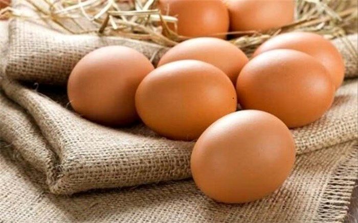دانستنی های تخم مرغی در روز جهانی تخم مرغ