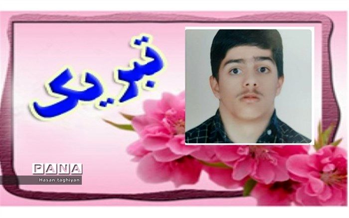 علیرضا شجاعی رتبه 3 سهمیه آزمون کاردانی فنی وحرفه ای شد