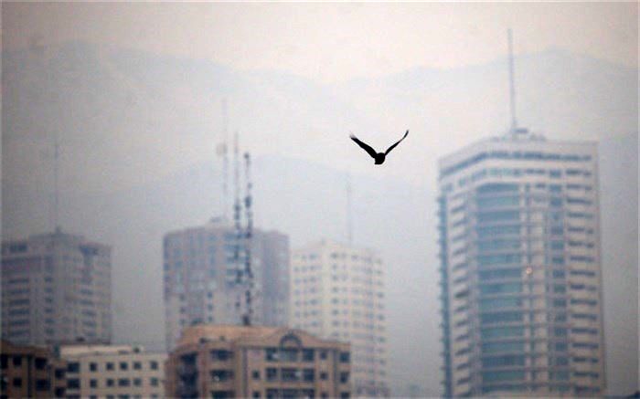 تداوم آلودگی هوای پایتخت تا فردا