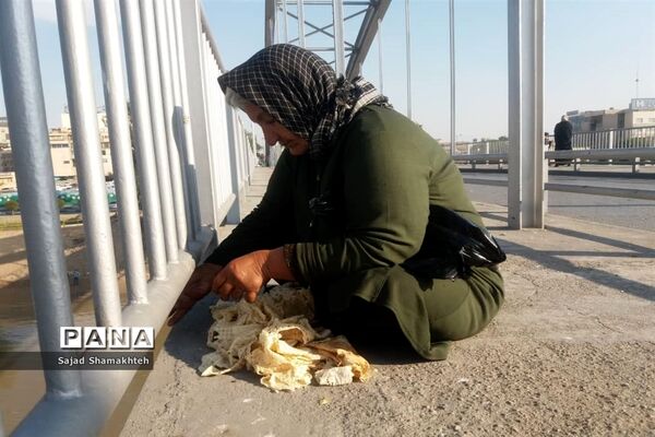 چهارشنبه ها با کارون  و کاکایی