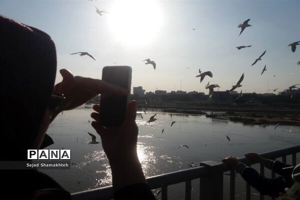 چهارشنبه ها با کارون  و کاکایی