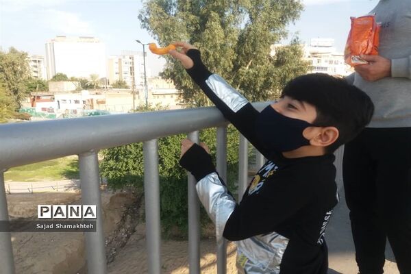 چهارشنبه ها با کارون  و کاکایی