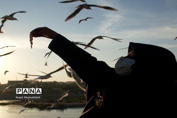 چهارشنبه ها با کارون  و کاکایی