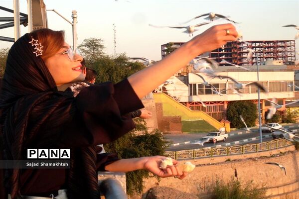 چهارشنبه ها با کارون  و کاکایی