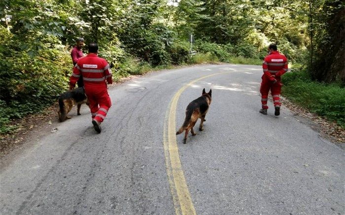جنازه منتسب به معین شریفی پس از ۱۲۳ روز ‌در جنگل‌های کردکوی کشف شد