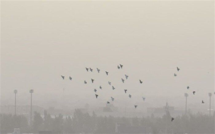 باد شدید دید افقی در زاهدان را به 5000 متر کاهش داد