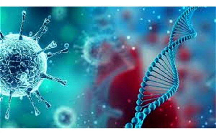 تعداد بیماران جدید بستری مبتلا به کرونا در بیمارستان های گیلان کاهش یافت