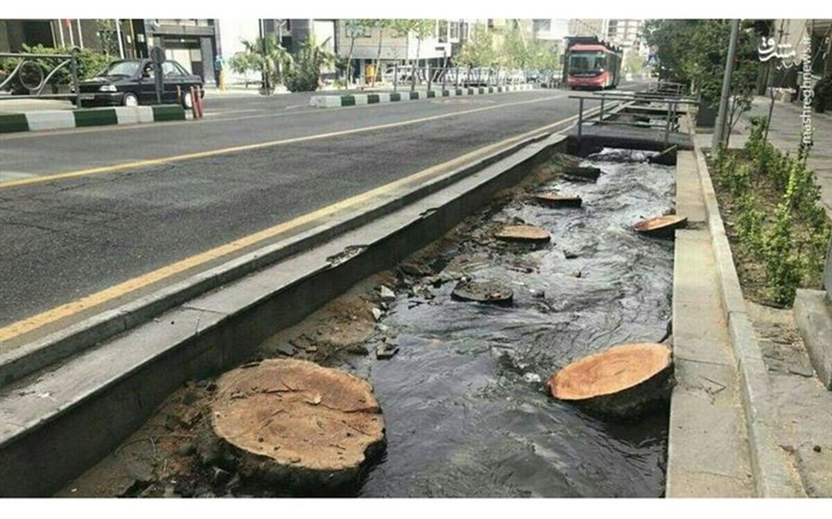 ساماندهی خیابان ولیعصر(عج) پایتخت تا خرداد ۱۴۰۰ برای ثبت جهانی