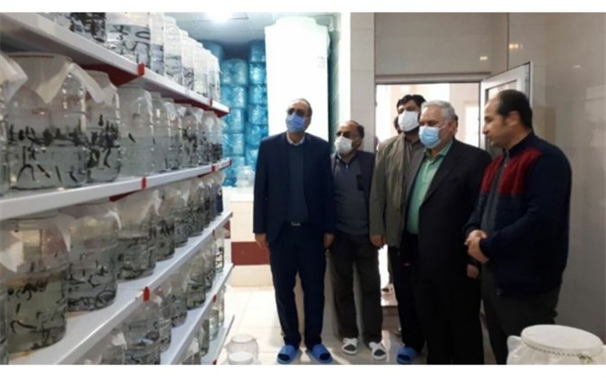 جوادآباد رتبه‌برتر اشتغال‌زایی استان‌تهران را کسب کرد