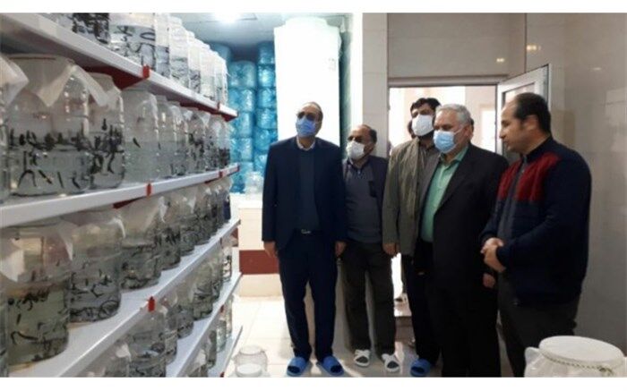 جوادآباد رتبه‌برتر اشتغال‌زایی استان‌تهران را کسب کرد