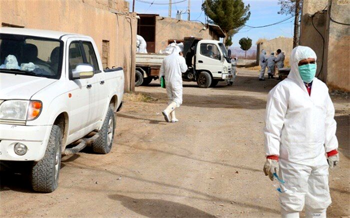 آنفلوانزای فوق حاد در 9 استان کشور مهار شد