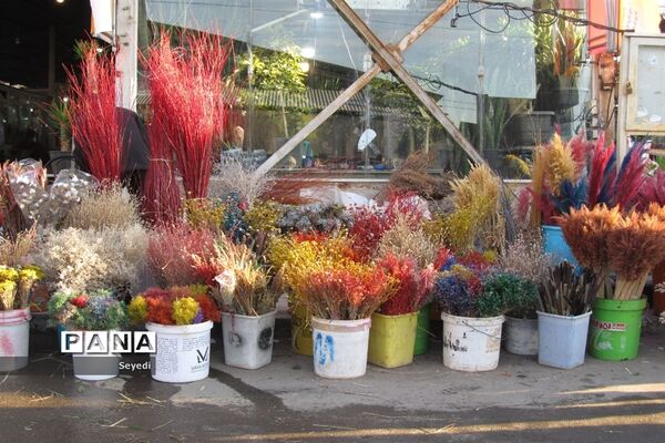 گشتی در بازار گل و گیاه امام رضا