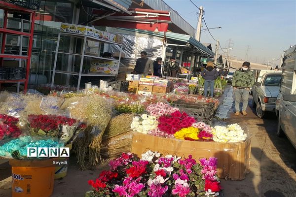 گشتی در بازار گل و گیاه امام رضا
