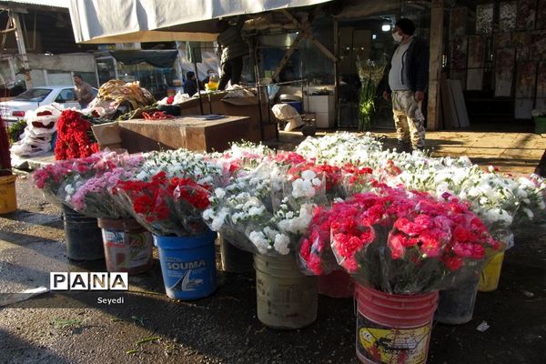 گشتی در بازار گل و گیاه امام رضا