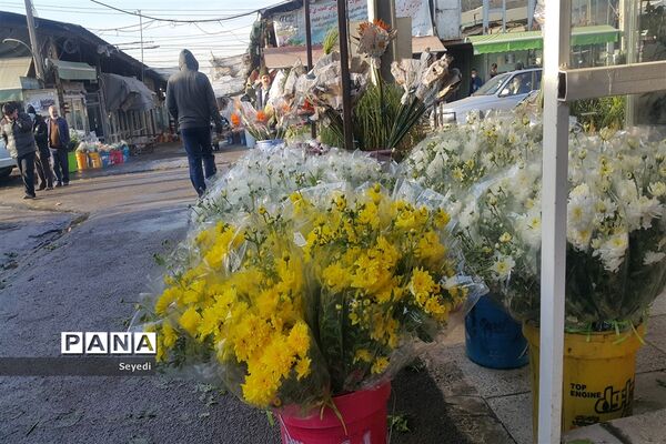 گشتی در بازار گل و گیاه امام رضا