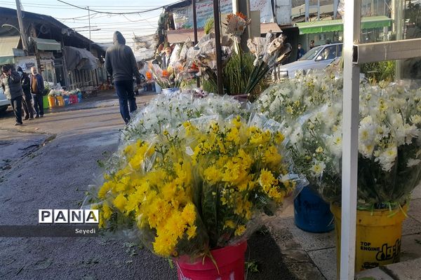 گشتی در بازار گل و گیاه امام رضا