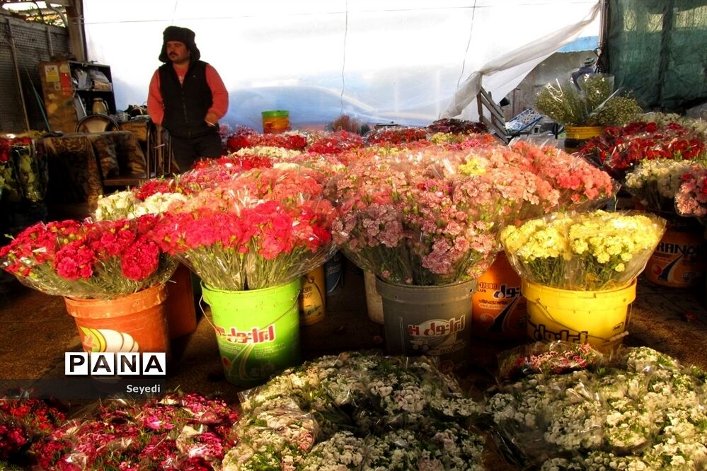 گشتی در بازار گل و گیاه امام رضا