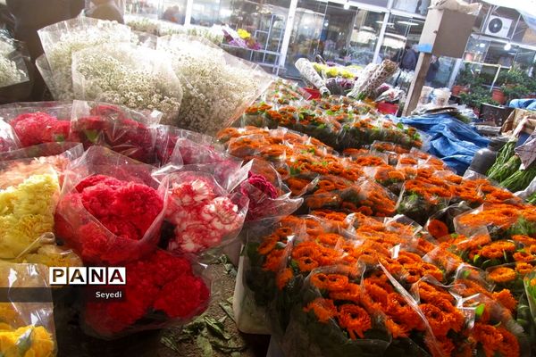 گشتی در بازار گل و گیاه امام رضا
