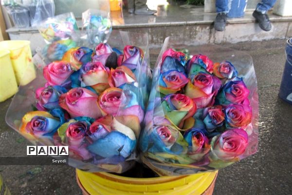 گشتی در بازار گل و گیاه امام رضا