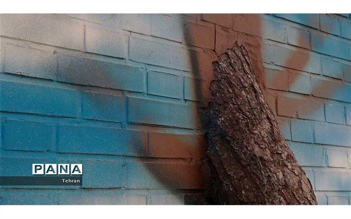 درختی در دل دیوار مدرسه