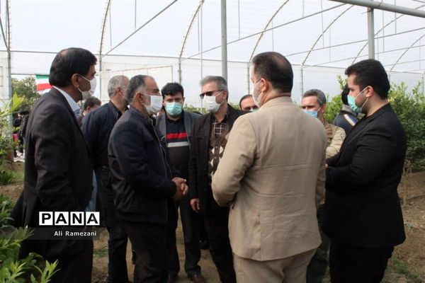 افتتاح چند پروژه‌ جهادکشاورزی در قائم‌شهر