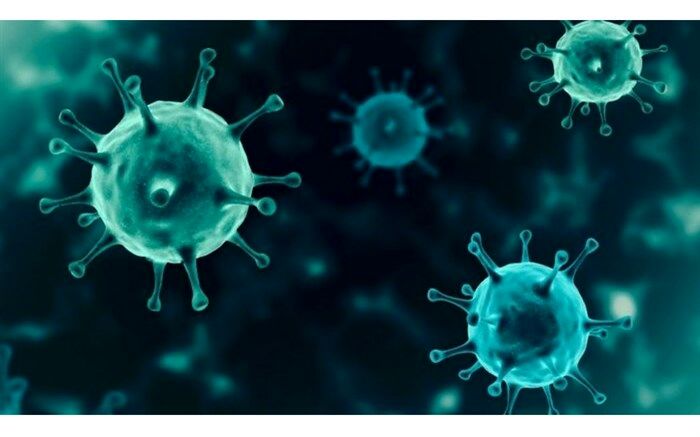 ۷ هزار سالمند گیلانی غربالگری کرونایی شدند