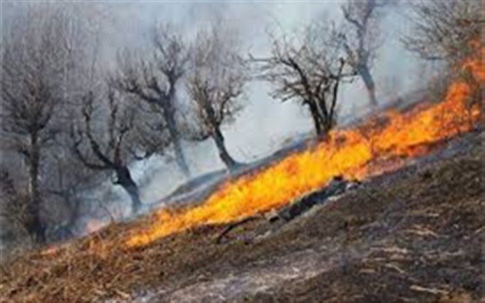 ۲۲ هکتار از جنگل های گیلان دچار حریق شد