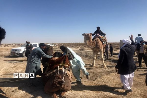 برگزاری مسابقات شترسواری و اسب‌روانی در کوه خواجه