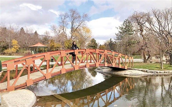 با «ممنوعیت سفر» چه کنیم