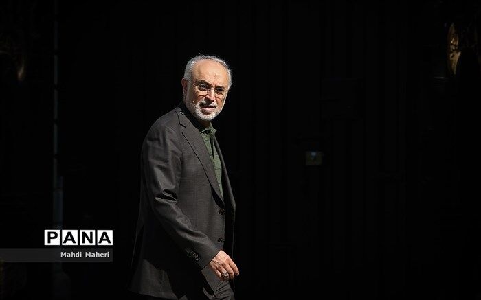 صالحی: «هسته‌ای» بهانه دشمن است