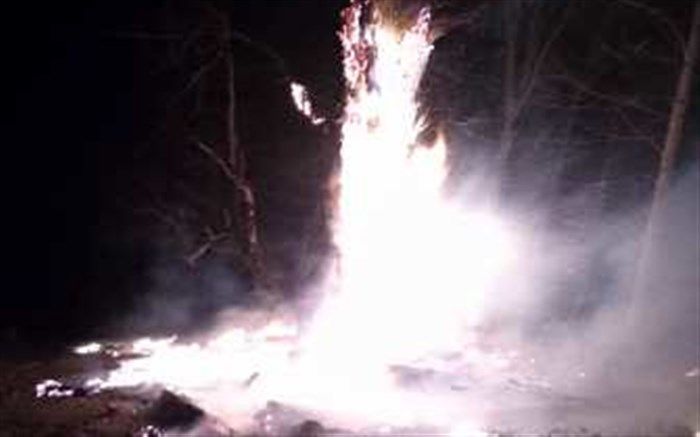 ۲ هکتار از جنگل‌های  رضوانشهر در آتش سوخت