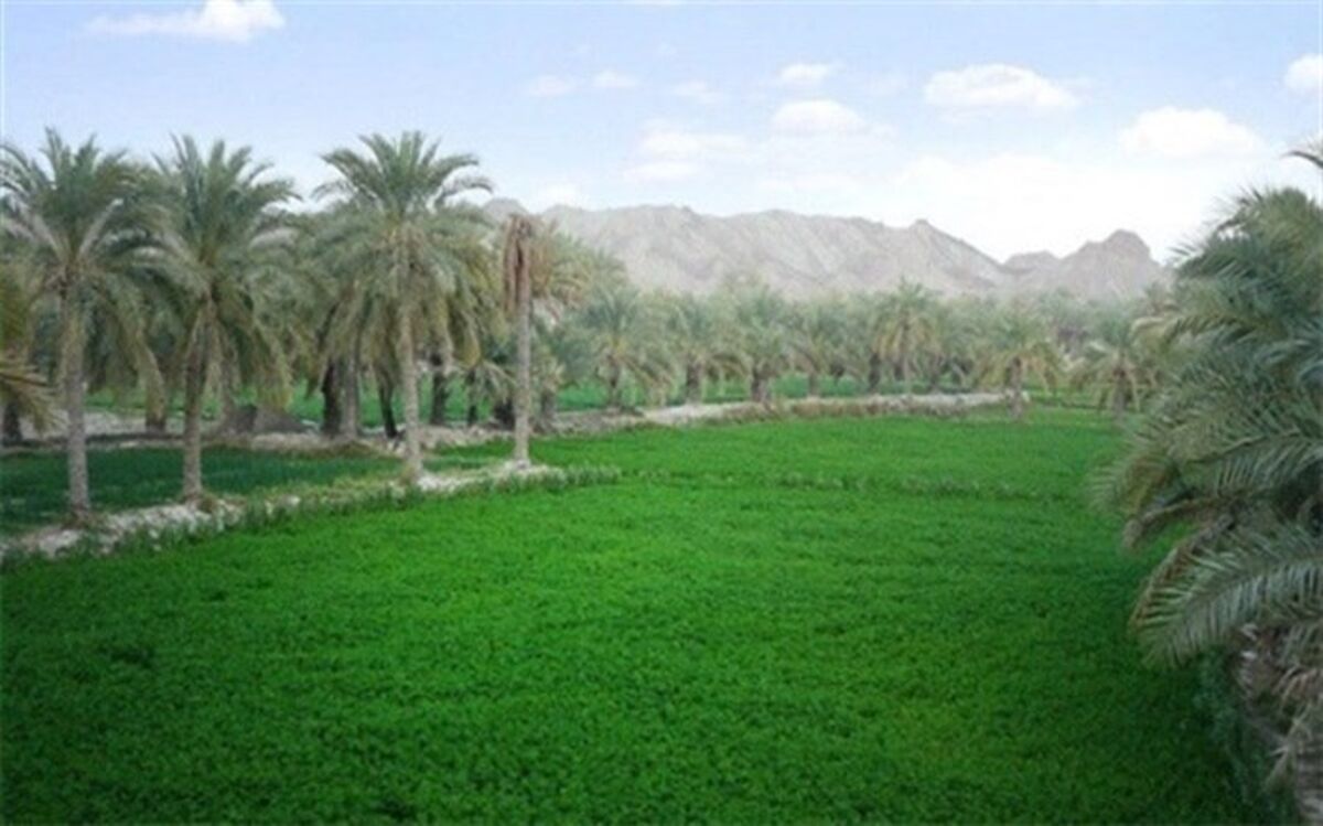 قصرقند گرمترین شهر کشور در شبانه روز گذشته