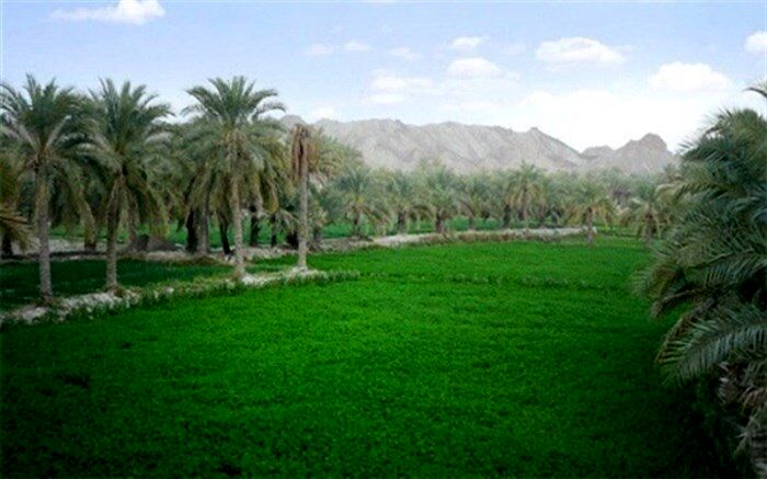 قصرقند گرمترین شهر کشور در شبانه روز گذشته