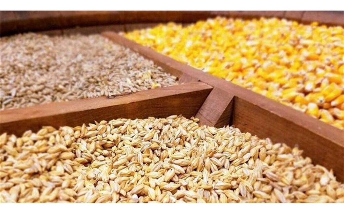 مرغداری ها در تامین نهاده های مرغی هیچ مشکلی ندارند