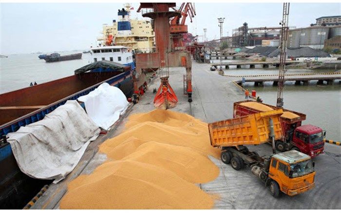 واردکنندگان نهاده های دامی تبعات مشکلات بخش توزیع را تحمل می‌کنند