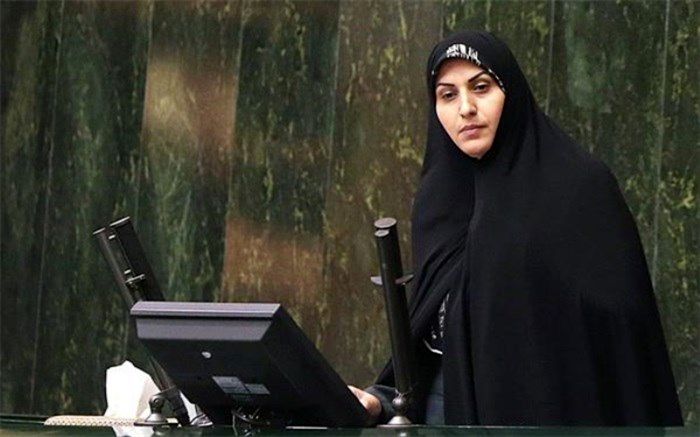 وکلای ملت با طرح اصلاح قانون نظارت بر رفتار نمایندگان مخالفت می‌کنند