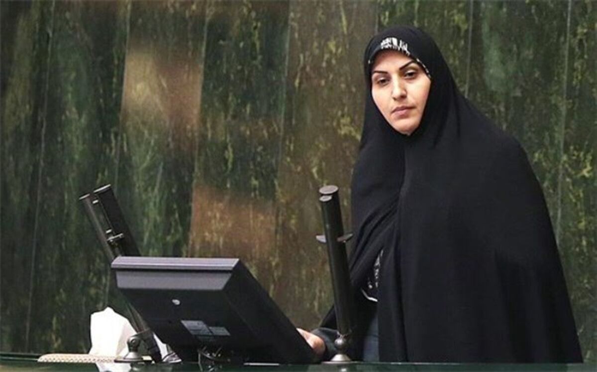 وکلای ملت با طرح اصلاح قانون نظارت بر رفتار نمایندگان مخالفت می‌کنند