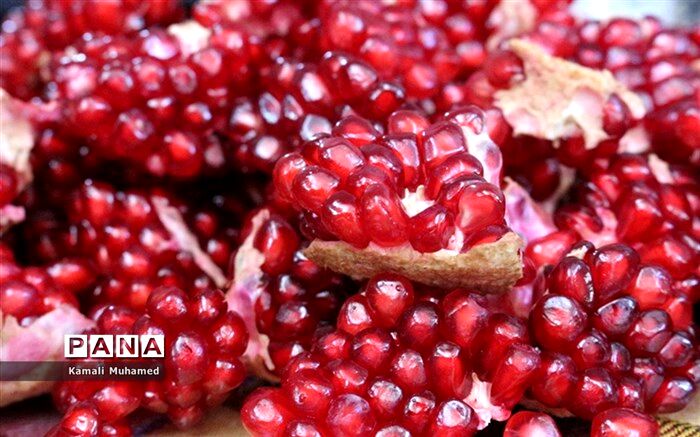 ۳۷ میراث‌فرهنگی ناملموس در فهرست آثار ملی ثبت شد