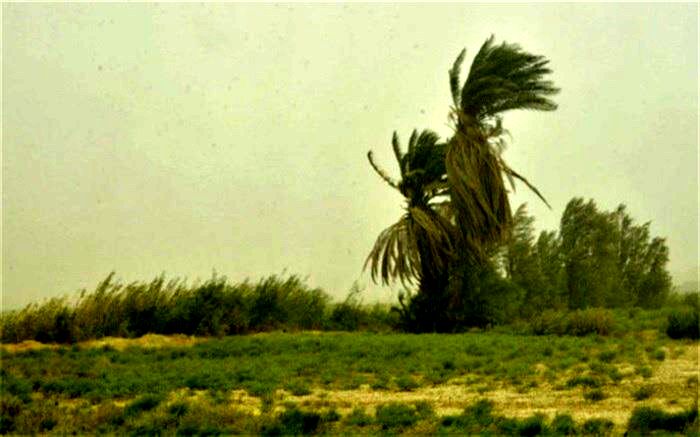 سرعت وزش باد در خاش به 54 کیلومتر بر ساعت رسید