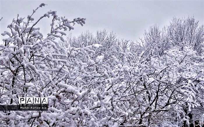 پیش‌بینی سازمان هواشناسی از تداوم بارش برف و باران تا 5 روز آینده