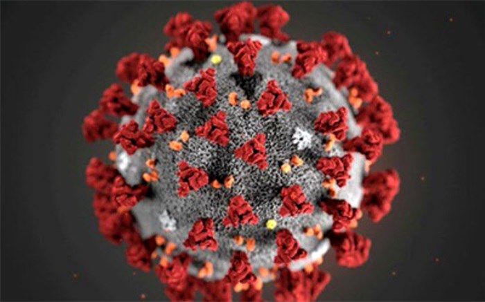 71 بیمار در بخش‌های کرونایی استان بوشهر بستری هستند/ثبت یک فوتی جدید