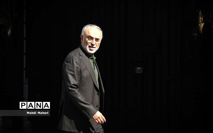 توضیح صالحی درباره سفر گروسی به تهران