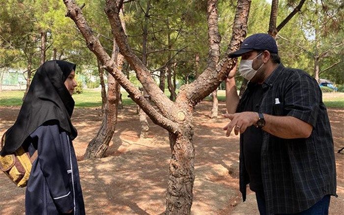 «شکلات تلخ» سوژه خودکشی را بررسی می‌کند