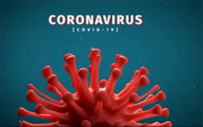 77 بیمار در بخش‌های کرونایی استان بوشهر بستری هستند