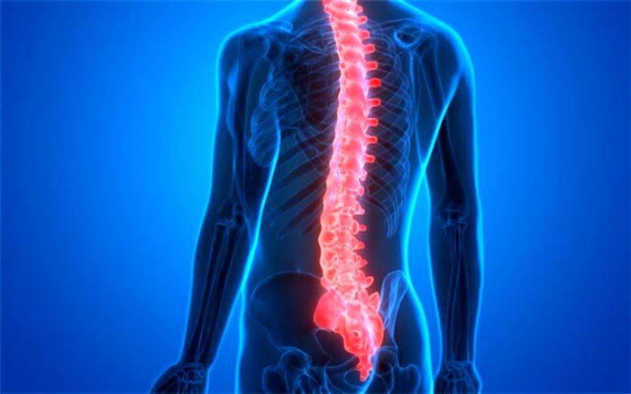 درمان جدید آسیب نخاعی با سلول‌های بنیادی