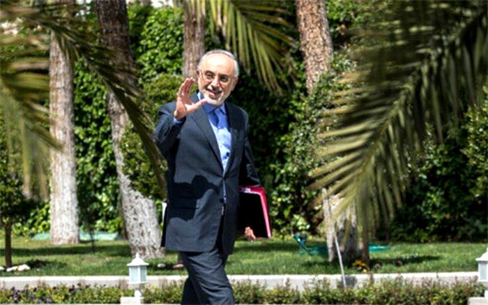 علی اکبر صالحی: در چارچوب تعیین شده از سوی مسئولان ارشد حرکت کردیم