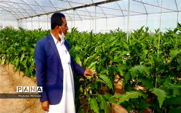 صادرات ۷.۸ میلیون تن محصولات کشاورزی از ابتدای سال