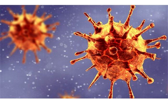 کرونای جهش یافته انگلیسی به رفسنجان هم رسید