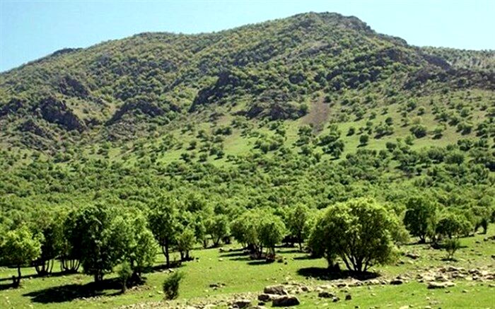 ۲۵۰۰ میلیارد تومان، متوسط خسارت سالانه وقوع سیل به کشور