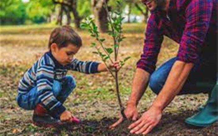 توزیع رایگان نهال و گل زینتی در شهرستان ملارد